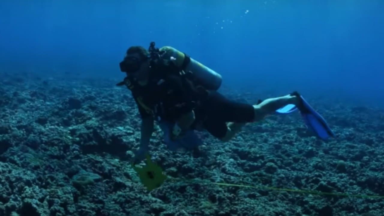 Scuba diver underwater